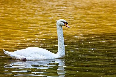 微软加大无障碍设计力度 多项计划造福残障玩家